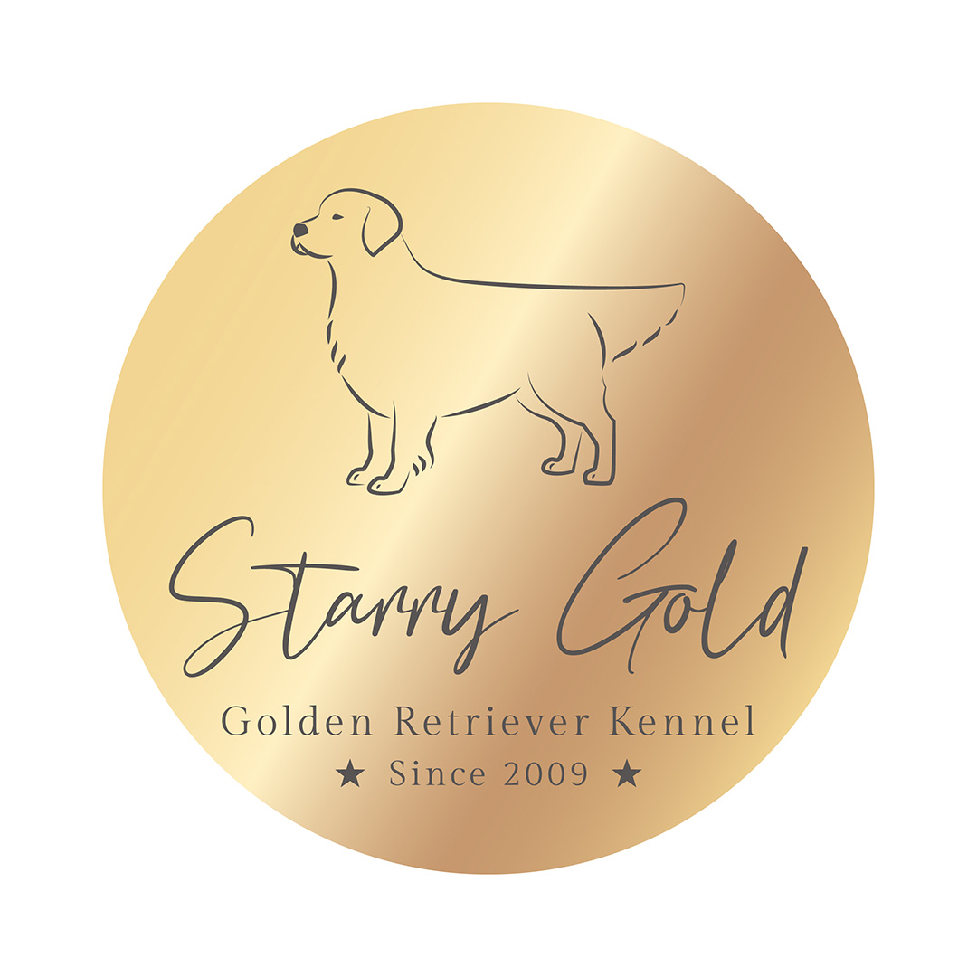 Tamás, Starry Gold Golden Retriever Kennel - Logótervezés