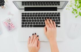 WordPress bakik